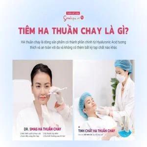 HA thuần chay là gì? Tiêm HA thuần chay giá bao nhiêu tiền?